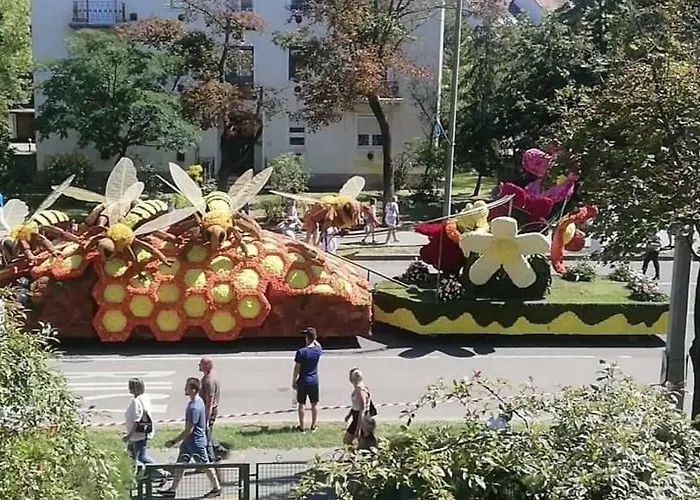 Sugar Διαμέρισμα